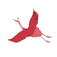 Bird Flying Sticker