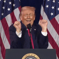 Donald Trump Usa GIF by Respective