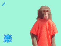 Fun Monkey GIF