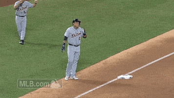 detroit tigers baseball GIF by MLB