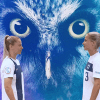 National Team Football GIF by Suomen jalkapallo- ja futsalmaajoukkueet