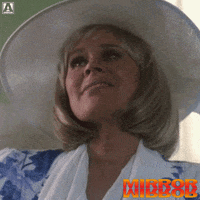 Mirror Mirror Reaction GIF by Arrow Video