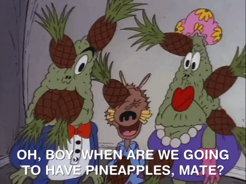 rockos modern life nicksplat GIF