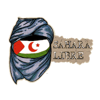 Politica Te Sticker