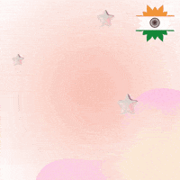 Sindhu GIF