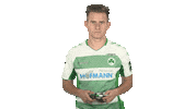 Ea Sports Fifa Sticker by Bundesliga