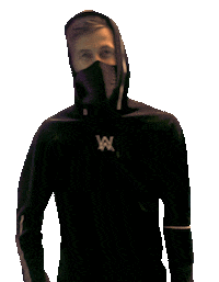 alanwalker ok Sticker by Spotify Japan