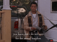 season 4 netflix GIF by Gilmore Girls 
