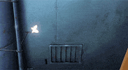 cowboy bebop butterfly GIF