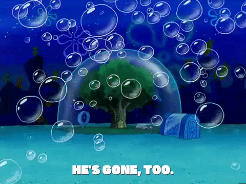 season 6 GIF by SpongeBob SquarePants