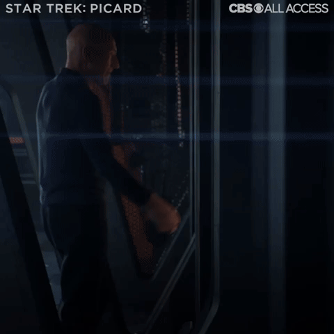 Star Trek: Picard -  Welcome Back
