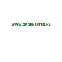 Sport Heerlen Sticker by Groene ster