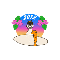 Hang 10 Sticker by Princeton University