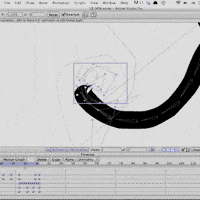Animation Longbird GIF by wanderson