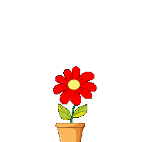 Happy Good Morning Sticker by Pudgy Penguins