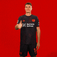 Bayer 04 Bundesliga GIF by Bayer 04 Leverkusen