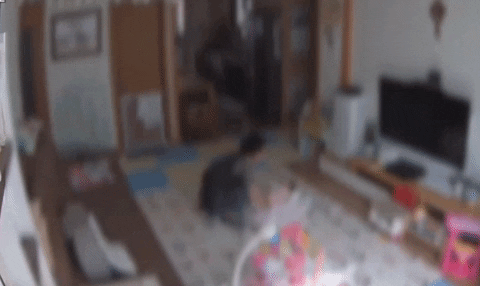 skagk giphyupload GIF