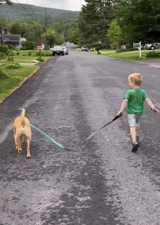 GIF by Martin