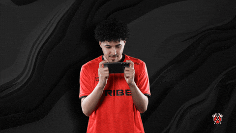 Lets Go Win GIF by Tribe Gaming