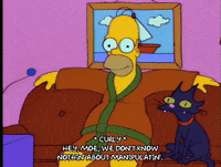 homer simpson episode 3 GIF