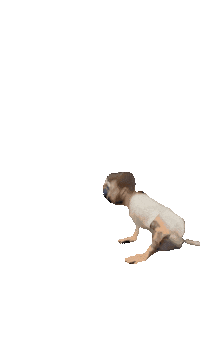 Charliestleger Sticker by f45mnq