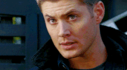 large GIF