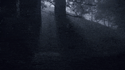 Scared Jill Wagner GIF by Hallmark Mystery