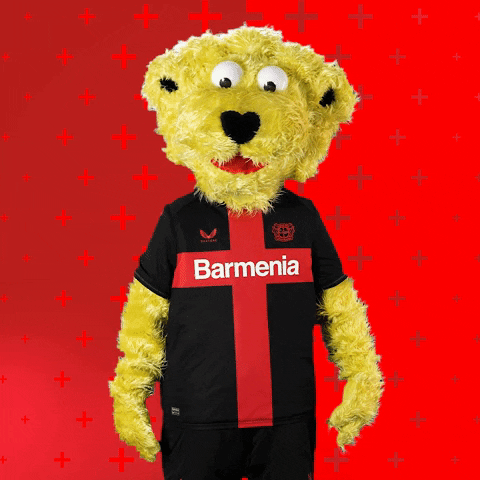 Bayer 04 Football GIF by Bayer 04 Leverkusen