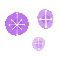 Sparkle Shine Sticker