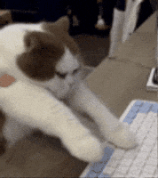 Afa GIF