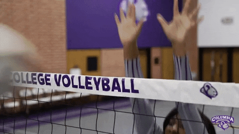College Life Women GIF by Columbia College