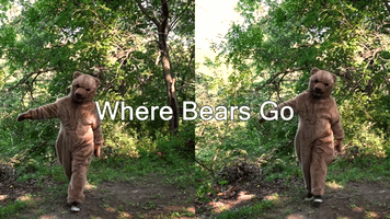 Where Bears Go by Todd Graves