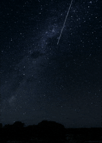 wish GIF