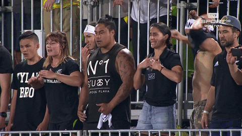 GIF by TVP.PL