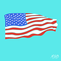 Memorial Day Fun GIF by Animation Domination High-Def