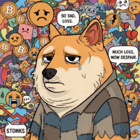 Sad Oh No GIF by Doge Pound