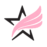 Starwingsports Sticker by StarWing Sports Management