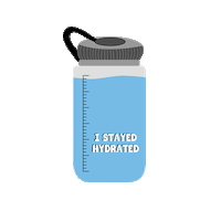 Stay Hydrated Good Vibes Sticker