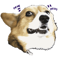Emi Dog Sticker by Single Sploot