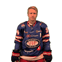 Goal Win Sticker by VIF Hockey