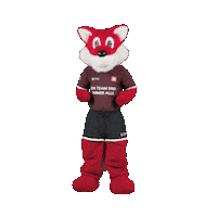 Celebrate Euro 2024 Sticker by UBS Schweiz