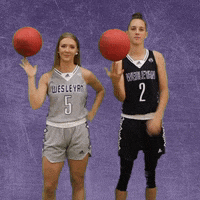 Wesleyan GIF by KWC Panthers