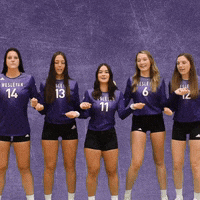 Volleyball Wesleyan GIF by KWC Panthers