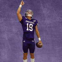 Football Wesleyan GIF by KWC Panthers