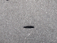 Paatrice chalk craie paatrice ouature GIF