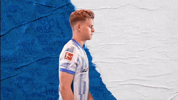 Bundesliga Berlin GIF by Hertha BSC