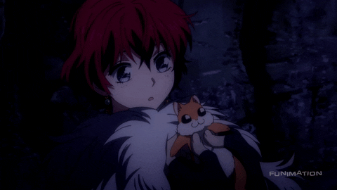 squirrel ao GIF by Funimation