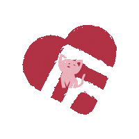 Cat Adopt Sticker by Amor Animal
