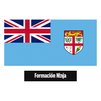 Fiji Flag Sticker by Formación Ninja