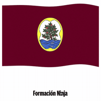 Flag Spain GIF by Formación Ninja